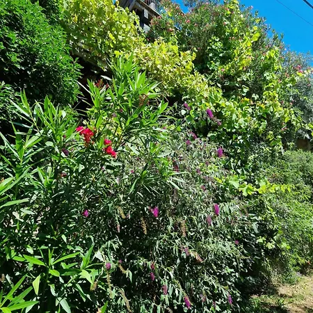 Holiday home Mas Montet Chez Raphael Valleraugue