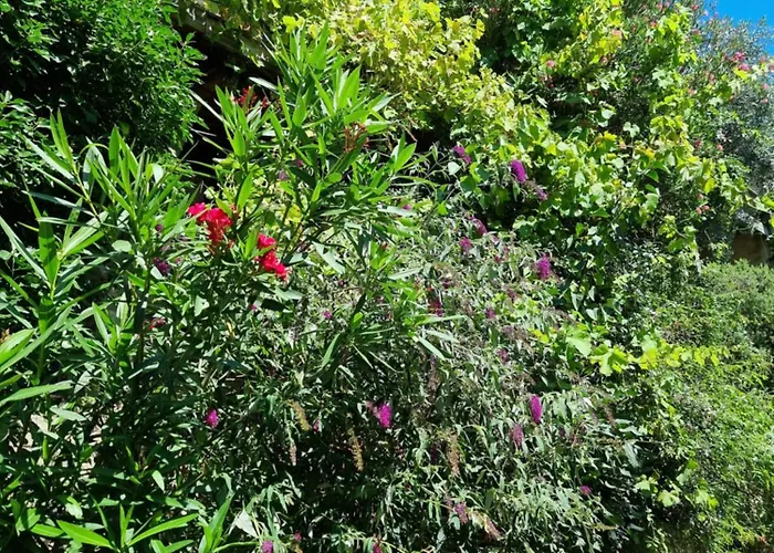 Ferienhaus Mas Montet Chez Raphael Valleraugue